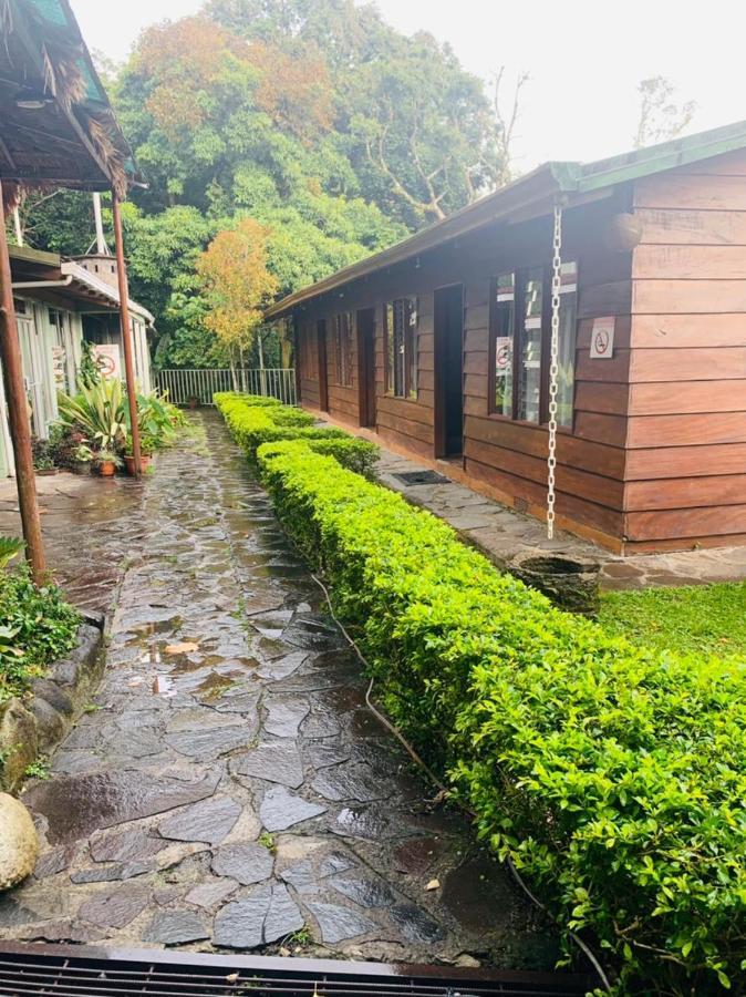 Hotel Quetzal Inn Monteverde Exterior foto